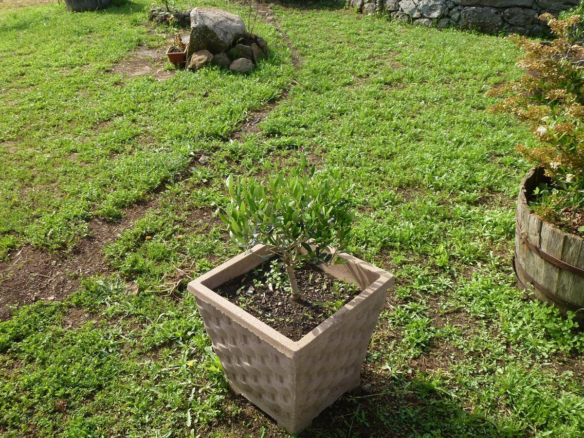 Agriturismo Nuragh'Elighe Sindia Bagian luar foto